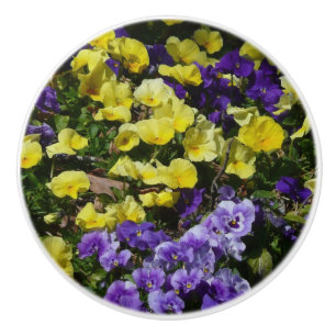 Hillside of Purple and Yellow Pansies Ceramic Knob