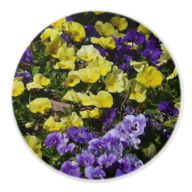 Hillside of Purple and Yellow Pansies Ceramic Knob (Front)