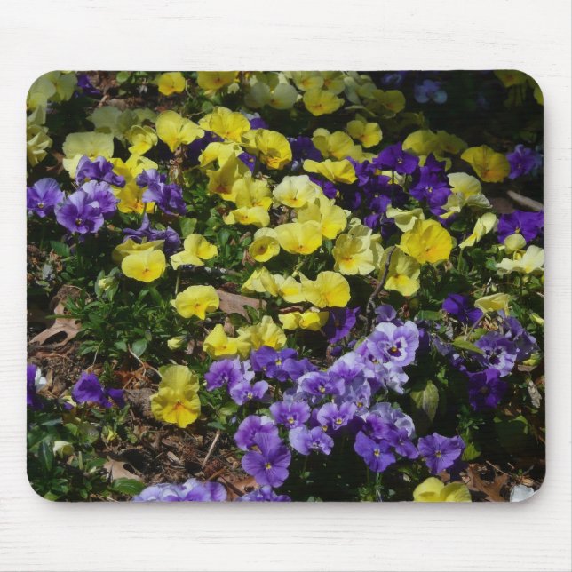 Hillside of Purple and Yellow Pansies Mouse Mat (Front)