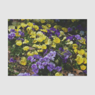 Hillside of Purple and Yellow Pansies Tissue Paper