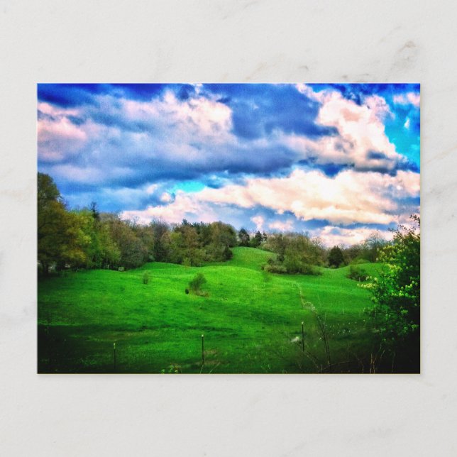 HILLSIDE PASTURE BRIGHT POSTCARD (Front)