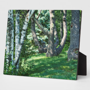 Hillside Trees Plaque