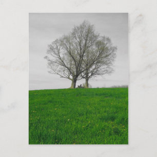 hilltop postcard