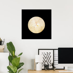 Hilma Af Klint, The Swan No.14, Abstract Art Poster
