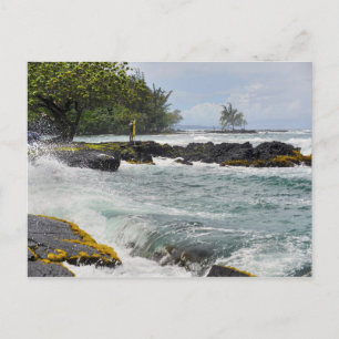 Hilo Waves Postcard
