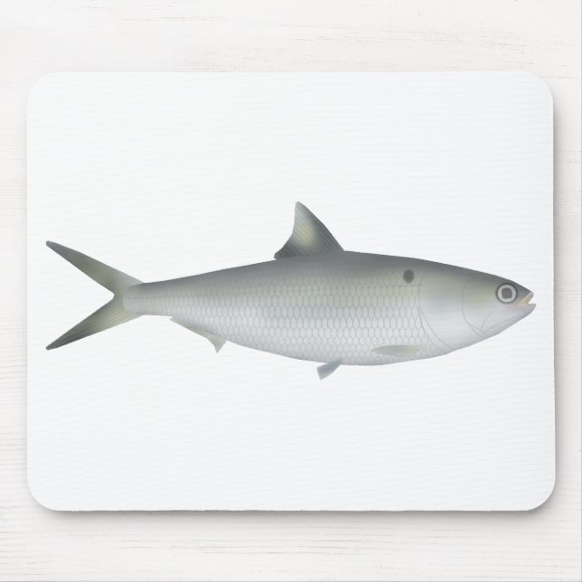 Hilsa Shad Mouse Mat (Front)