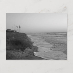 Hilton Head Island Shoreline/ Black And White Postcard
