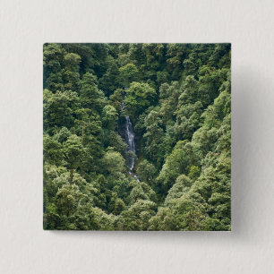 Himalaya forest in the Mangdue valley, Bhutan 15 Cm Square Badge