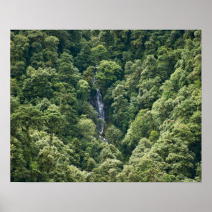 Himalaya forest in the Mangdue valley, Bhutan Poster