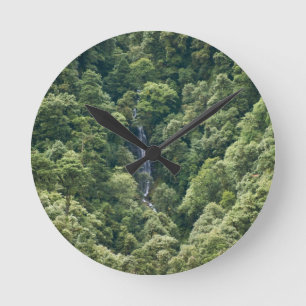 Himalaya forest in the Mangdue valley, Bhutan Round Clock
