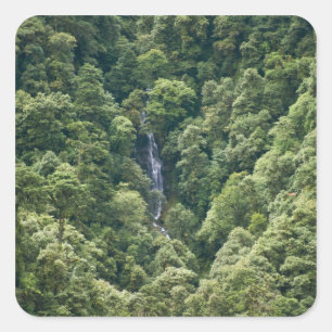 Himalaya forest in the Mangdue valley, Bhutan Square Sticker