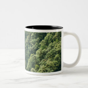 Himalaya forest in the Mangdue valley, Bhutan Two-Tone Coffee Mug