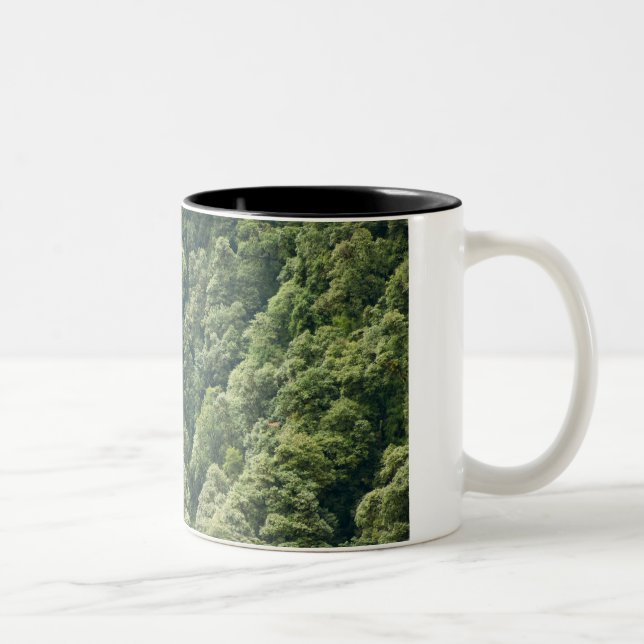 Himalaya forest in the Mangdue valley, Bhutan Two-Tone Coffee Mug (Right)