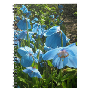 Himalayan Blue Poppy 80 page notebook