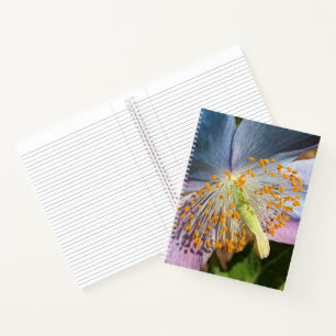 Himalayan Blue Poppy Bloom Floral Notebook