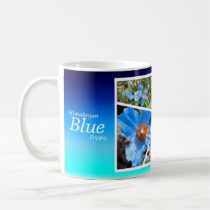 Himalayan blue poppy [Classic Mug] マグカップ Coffee Mug