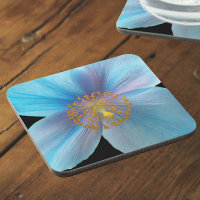 Himalayan Blue Poppy Floral