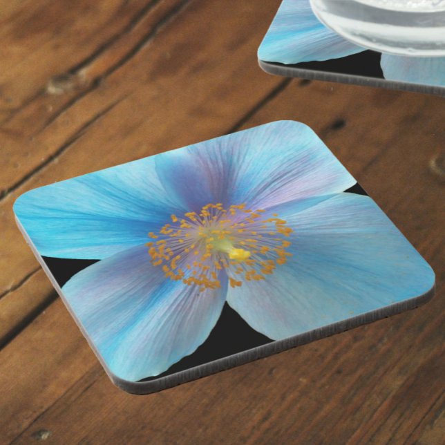 Himalayan Blue Poppy Floral Coaster (In Situ)