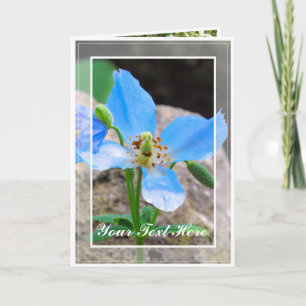 Himalayan blue poppy [Greeting Card] カード Card