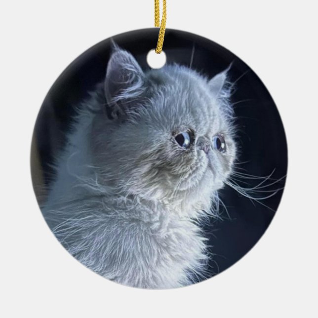 Himalayan Cat  Ceramic Tree Decoration (Front)
