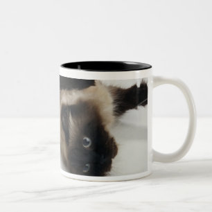 Himalayan Cat Lying on his Back Two-Tone Coffee Mug