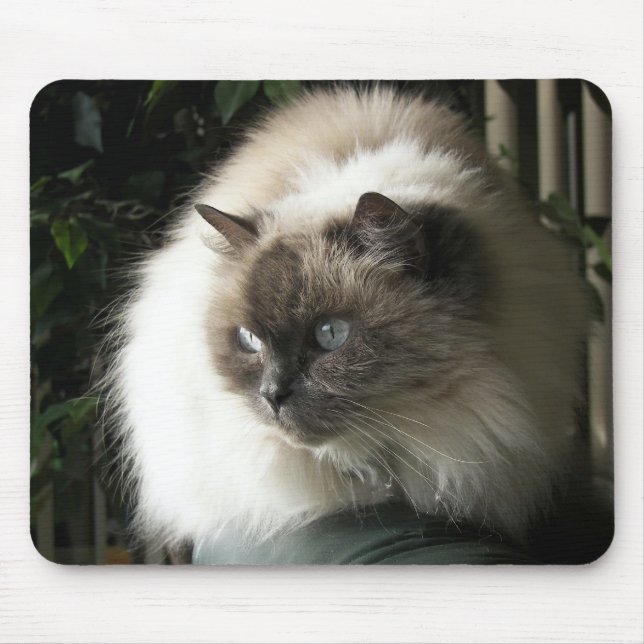 Himalayan Cat Mouse Mat (Front)