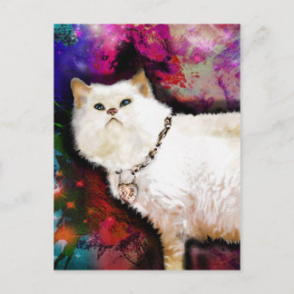 Himalayan Cat Postcard
