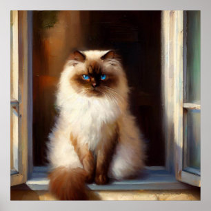 Himalayan Cat  Poster