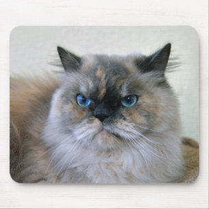 Himalayan Cat with Blue Eyes Mouse Mat