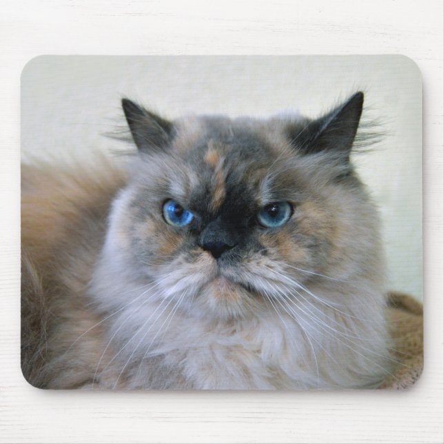 Himalayan Cat with Blue Eyes Mouse Mat (Front)
