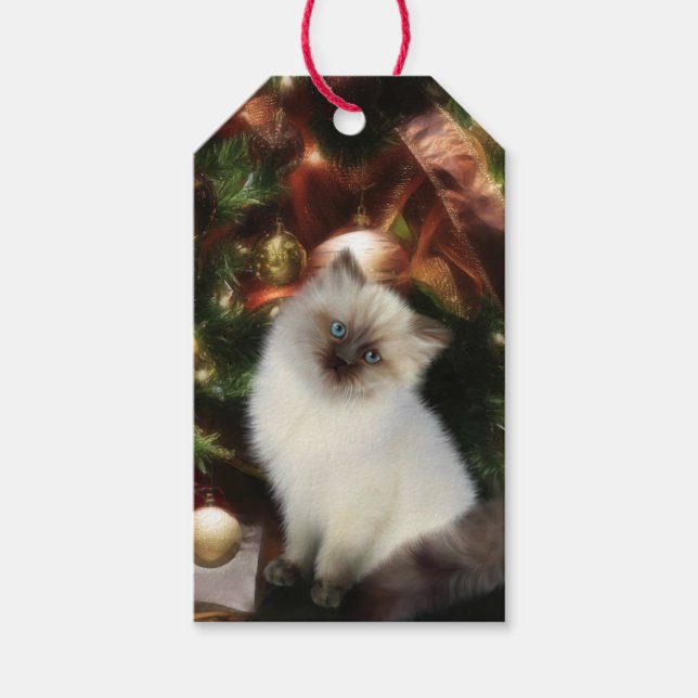 Himalayan kitten Christmas Gift Tags (Front)
