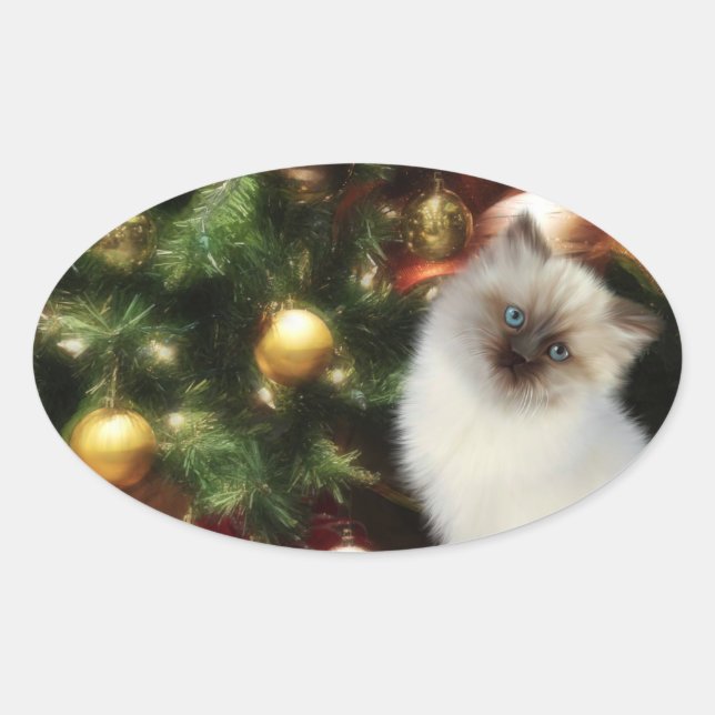 Himalayan kitten Christmas Oval Sticker (Front)
