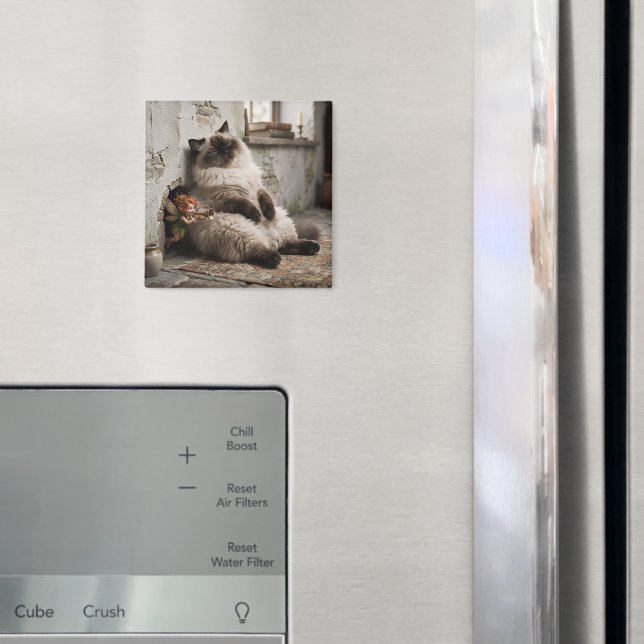 Himalayan Kitty and Pixie Wake Up Surprise  Magnet (In Situ (Fridge))
