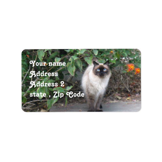 Himalayan Mix cat Label (Front)