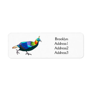 Himalayan monal bird cartoon illustration