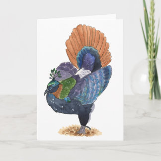 Himalayan Monal Pheasant Greeting Card | Colorful