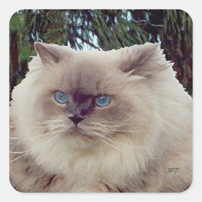 Himalayan Persian Cat Square Sticker (Front)
