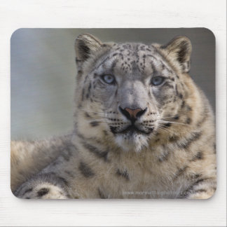 Himalayan Prince Mousemat