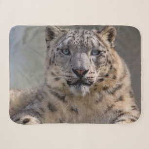 Himalayan Prince Sherpa Blanket