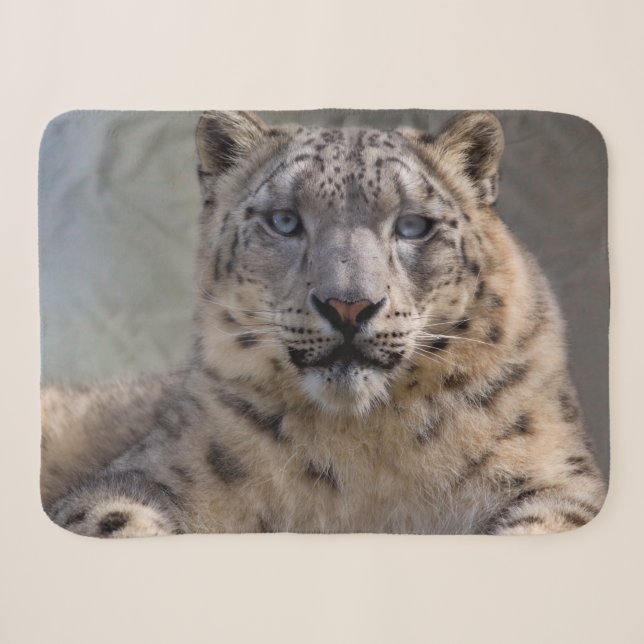 Himalayan Prince Sherpa Blanket (Front (Horizontal))