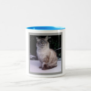 Himalayan Tabby Siamese Maine Coon Two-Tone Coffee Mug