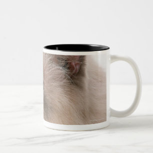 Himalayan Two-Tone Coffee Mug