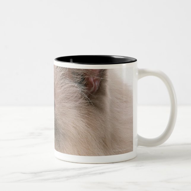 Himalayan Two-Tone Coffee Mug (Right)