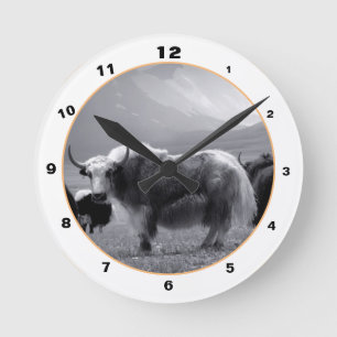 Himalayan Yaks & Mountains in Ladakh / Tibet Yak Round Clock