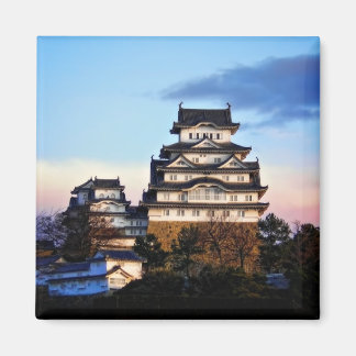 Himeji Castle at Sunrise Magnet