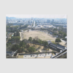 Himeji, Japan (View from atop castle) Tissue Paper