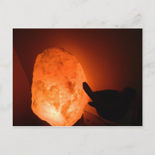 Himilayan Salt Lamp with Bird Postcard