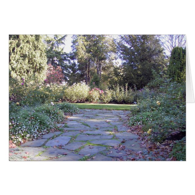 Hint of Autumn (Front Horizontal)