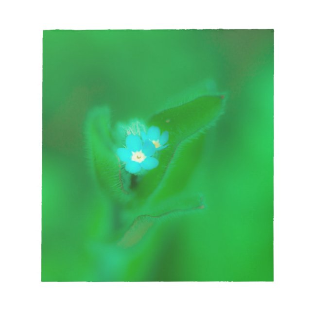 Hint of blue notepad (Front)