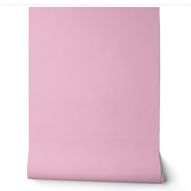 Hint of Cherry Pink Solid Colour Pastel Shade Wallpaper (Unrolling)